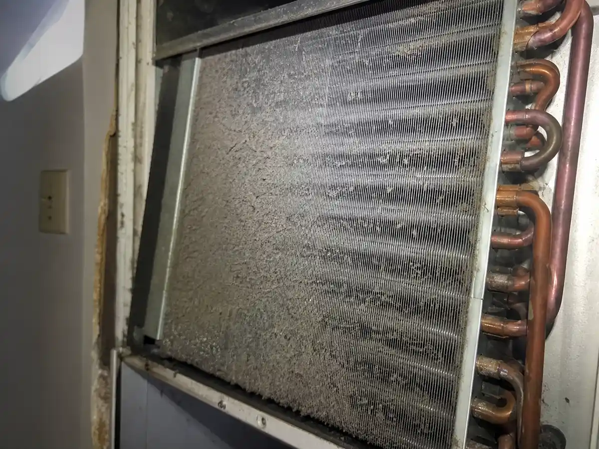 Coil Cleaning in Tampa, FL